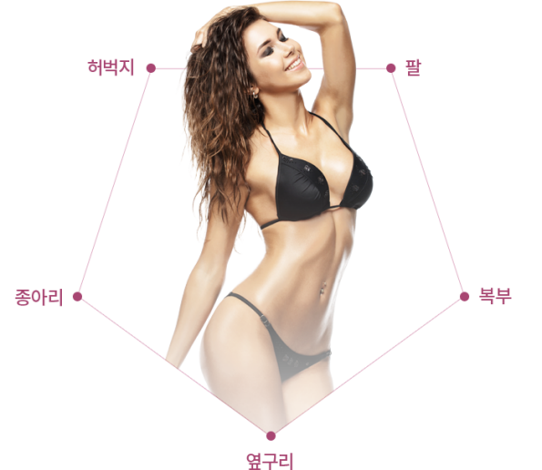 HPL �ü� ����