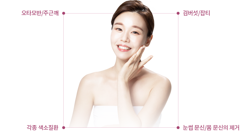 Nd:YAG ������ �����ȯ