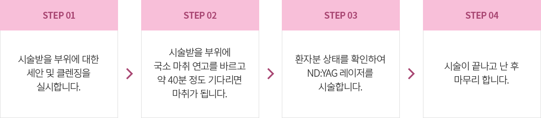 Nd:YAG ������ �ü�����